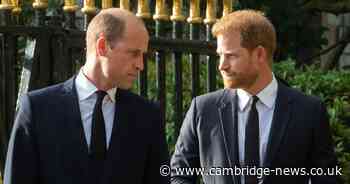 Prince William move 'leaves Prince Harry and Meghan hurt and angry' over 'betrayal'