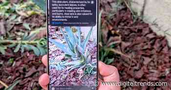 Visual Intelligence has made the Camera Control on my iPhone 16 worth using