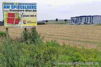 Borgentreicher Politik sieht gemeinsames Industriegebiet kritisch