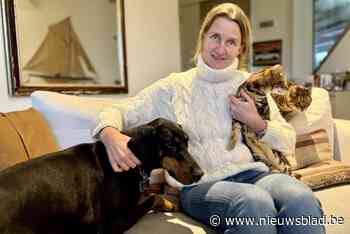 Dierenarts Isabelle (50) is de nieuwe schepen van Dierenwelzijn in Knokke-Heist: “Het gaat verder dan katjes en honden”