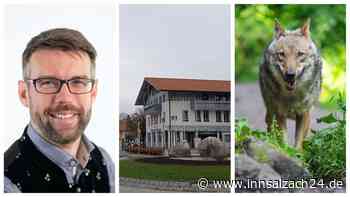 Antifa gegen AfD, Pflege-Betrug, Wolfsriss, Todesschuss: Was ist in Grassau los, Herr Kattari?