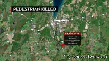 Pedestrian killed in Municipality of Meaford