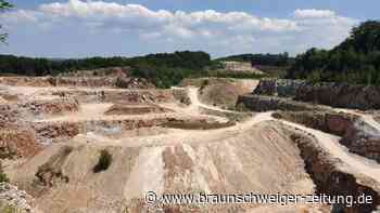 Naturzerstörung im Harz? Gericht stoppt Bohrung