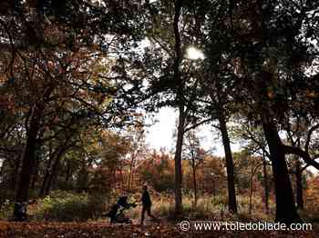 Metroparks board seeks to have replacement levy go to voters early again