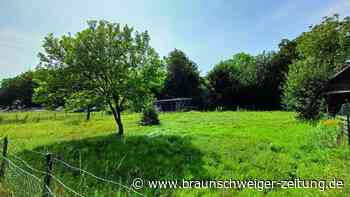 Baugebiet „Am Krähenfelde“ in Wolfenbüttel: Wie geht es weiter?