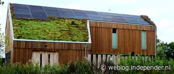 Eigenaren zonnepanelen opgelet: vanaf de zomer kun je geld verdienen met jouw overschot aan zonnestroom