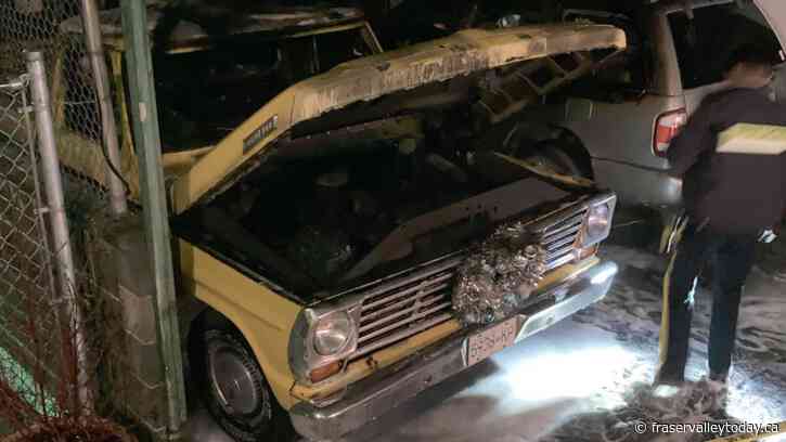 Chilliwack building manager livid after her vintage 1967 truck was intentionally torched