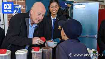 Sydney charities struggle with rising demand as cost-of-living bites