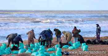 Grote milieuramp in Russische Zwarte Zee: tientallen kilometers kust vervuild door lekkende olietankers