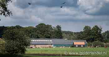 Gelderland belooft uitgekochte boeren hulp als Europa ingrijpt, maar niet met geld