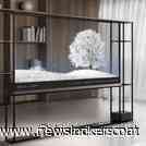 LG brengt transparante 77"-oled-tv uit in VS, kost omgerekend 70.000 euro