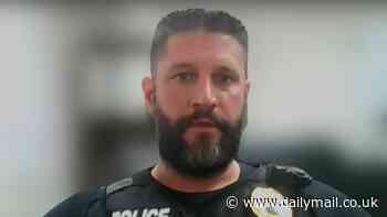 Dozens of SUV-sized drones as fast as 120mph terrorized our town's livestock