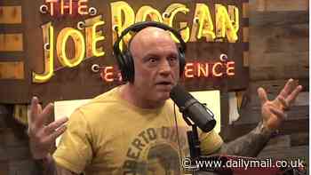 Joe Rogan left stunned as Navy pilot reveals secret tech powering drones over New Jersey'