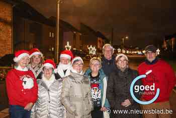 Kerstversiering uit herbruikbaar materiaal schittert aan woningen in Groenstraat