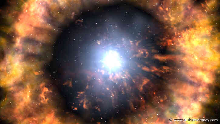 Zwicky Classifies More Than 10,000 Exploding Stars