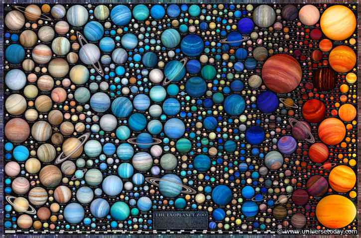 What is the Zoo Hypothesis?