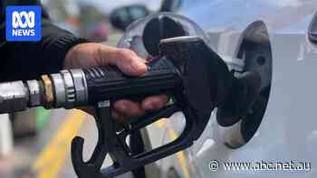 Fuel prices to increase in most cities ahead of Christmas, peak motoring body says
