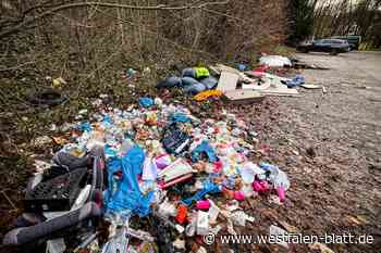 Ärger über wilden Müll: „Das ist eine Frechheit!“