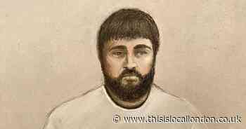Enfield man, 26, to enter pleas to murder charges following knife and crossbow deaths