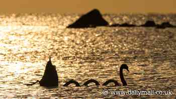 Loch Ness Monster mystery may finally be SOLVED - as scientist claims he has a simple explanation for sightings of the mythical beast