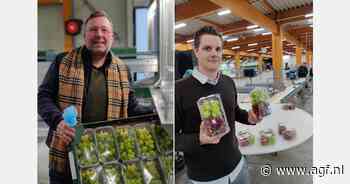 "Het zal een spannend druivenseizoen blijven"