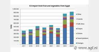 Egyptische export verse groenten en fruit weer gegroeid