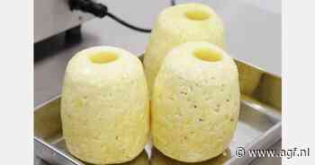 Ananasboor voor verbeterde schiloplossing gelanceerd