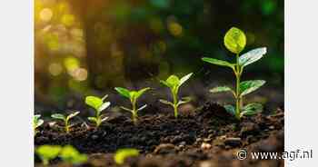 Belgische landbouw in 2024: Weersextremen en economische veerkracht