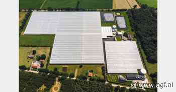 Nieuwe kassen voor Stoffels Tomaten en terugkeer oude bekende