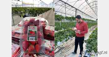 "Meer vraag naar Turkse aardbeien"
