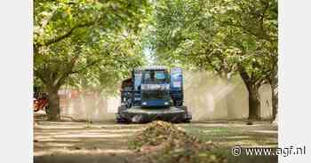 Walnotenoogst in Californië aanzienlijk gedaald