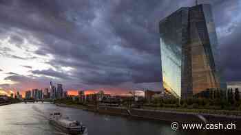 EZB-Ratsmitglied für schrittweise Zinssenkungen: «Wir wollen die Märkte nicht überraschen»