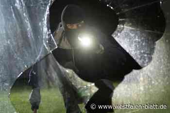 Mädchen (16) überrascht Einbrecher in Warburg