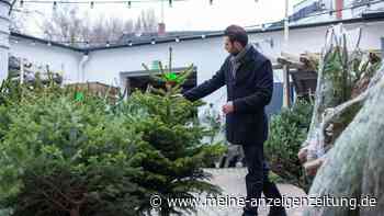So bleibt Ihr Weihnachtsbaum länger frisch