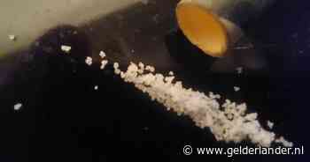 Politie vindt ketamine en wiet ter waarde van 600.000 euro