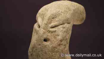 Mysterious alien-like statue is unearthed from a 7,000-year-old Stone Age settlement in Kuwait - and archaeologists say it's a 'total surprise'