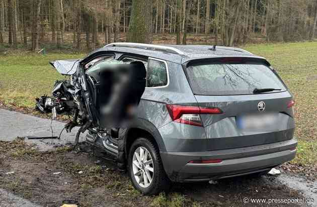 POL-ROW: ++ Schwerer Verkehrsunfall auf der B71 zwischen Brüttendorf und Wehldorf - ein tödlich Verletzter und zwei Schwerverletzte ++