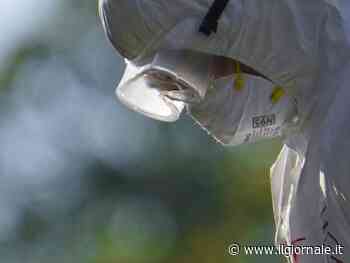 Aviaria, dichiarato lo stato d'emergenza in California. "Il virus sta entrando nell'uomo"