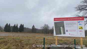 Baugrundstück im Harz? In dieser Stadt beginnt gerade die Vermarktung