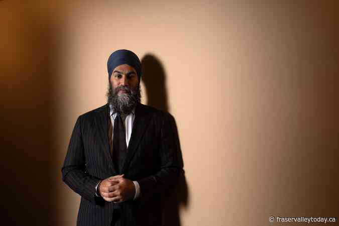 NDP seeks distance from Liberals, sees fight in next election is with Conservatives