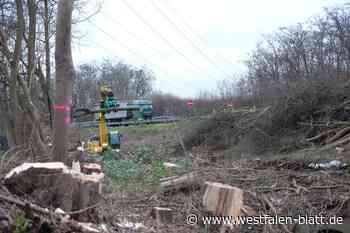 BUND-Kritik an Nordring-Ausbau: „Klimaschutz wird mit Füßen getreten“