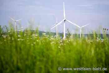 Neun Windräder kriegen grünes Licht vom Stadtrat Borgentreich