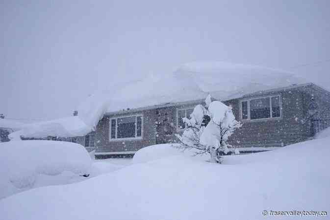 Latest B.C. storm brings 140 km/h gusts to Vancouver Island amid wind, snow warnings