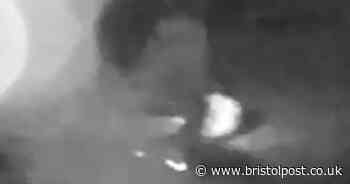 Watch killer's brother burn clothes after murder of Max Dixon and Mason Rist