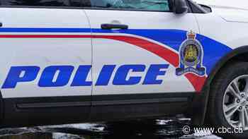 SIRT clears Prince Albert police in case where canine unit bit suspect's ear