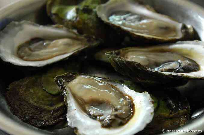 Dozens get sick with ‘norovirus-like’ illness after eating raw B.C. oysters