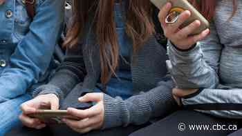 Manitoba kids vulnerable to online exploitation during holiday season, police warn