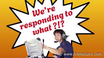 7 of the most bizarre 911 calls of 2024