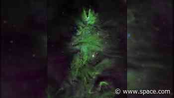 NASA space telescopes give Christmas Tree Cluster a festive makeover (photos)
