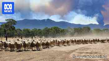 Caravan park considers closing as fire continues to burn in The Grampians